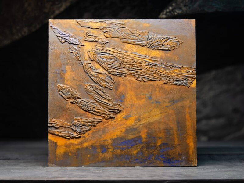 evolution 65x65: 11