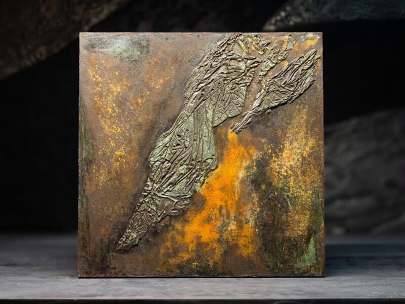 evolution 65x65: 13