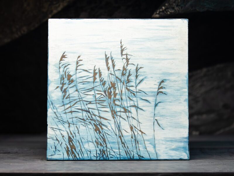 evolution 65x65: 6